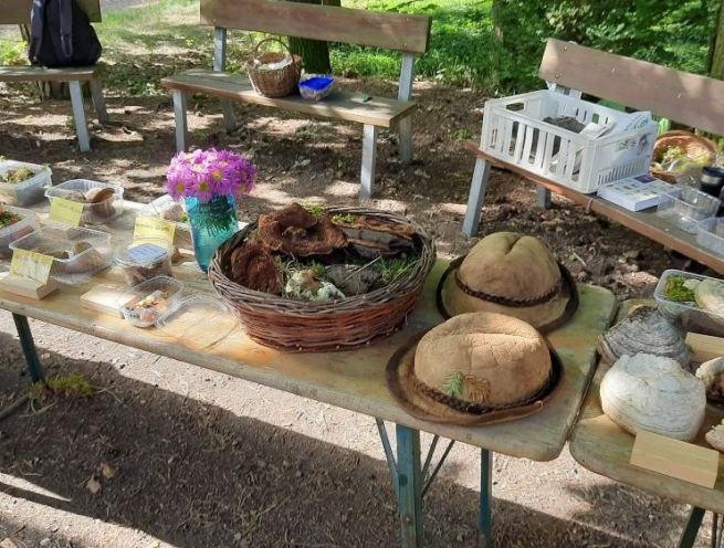 1_20250628_091214 1_20250628_091214