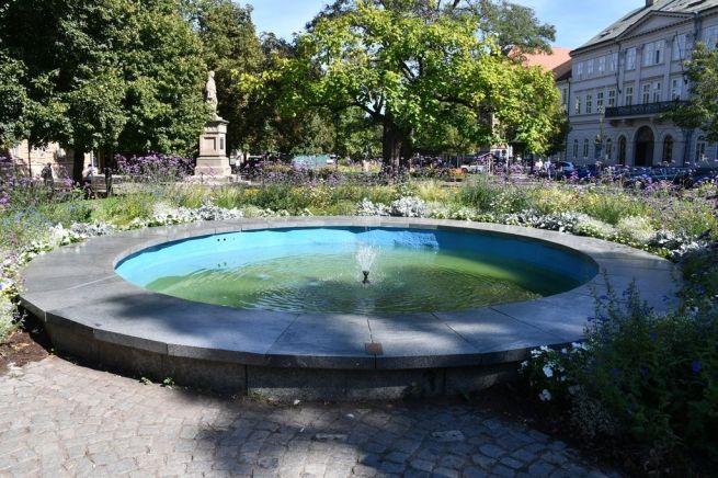 1_DSC_9652_fotoRadkaŽÁKOVÁ 1_DSC_9652_fotoRadkaŽÁKOVÁ