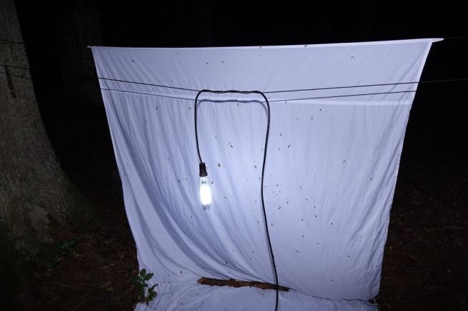 1_DSC04326_fotoJanWALTER-ZČM