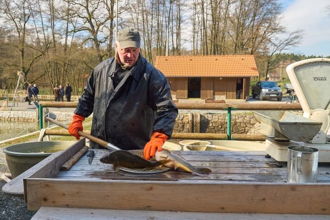 _1018990_fotoAndreaFOJTÍKOVÁ