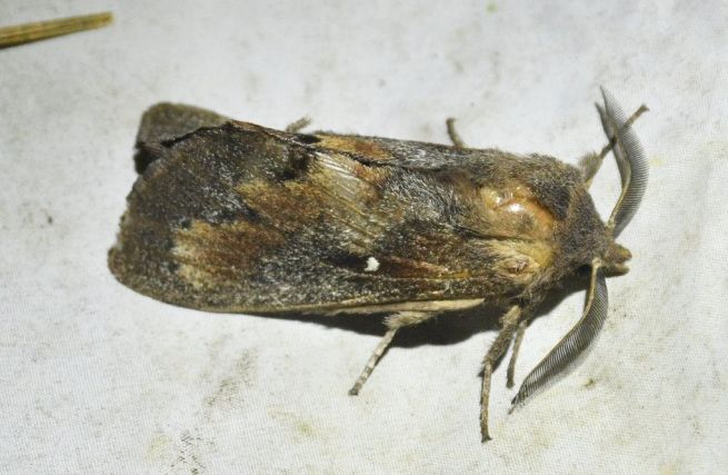 19_DSC_97352_fotoRadkaŽÁKOVÁ 19_DSC_97352_fotoRadkaŽÁKOVÁ