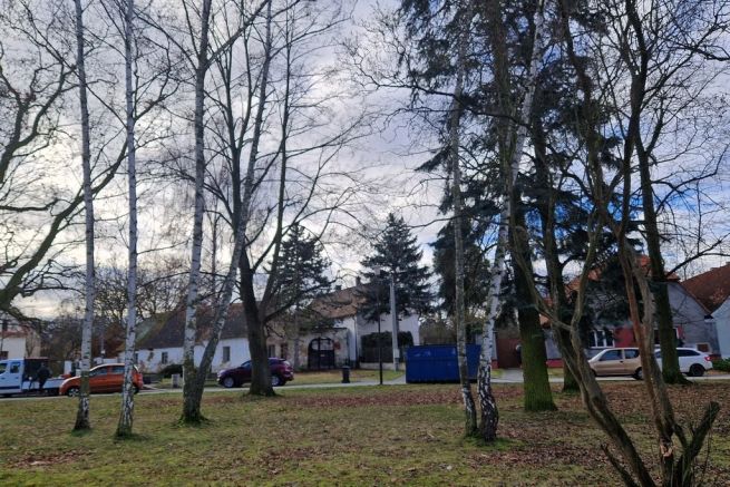 2_20240220_091910_fotoIrenaTOLAROVÁ