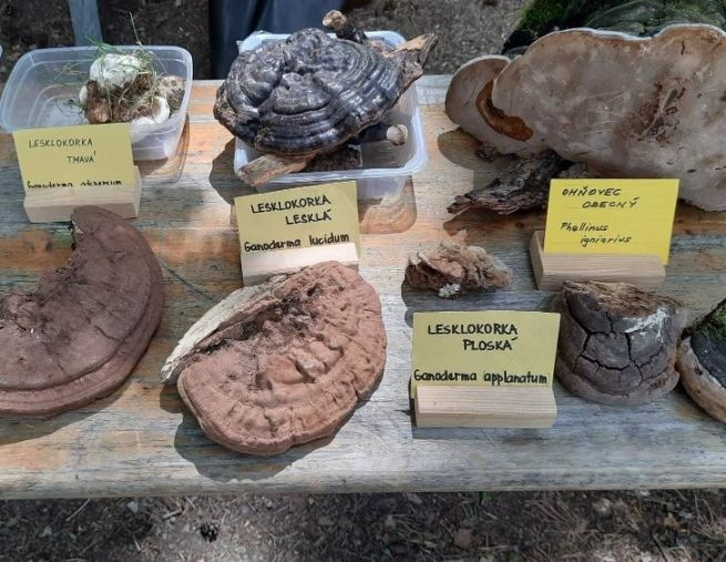 2_20250628_141300 2_20250628_141300