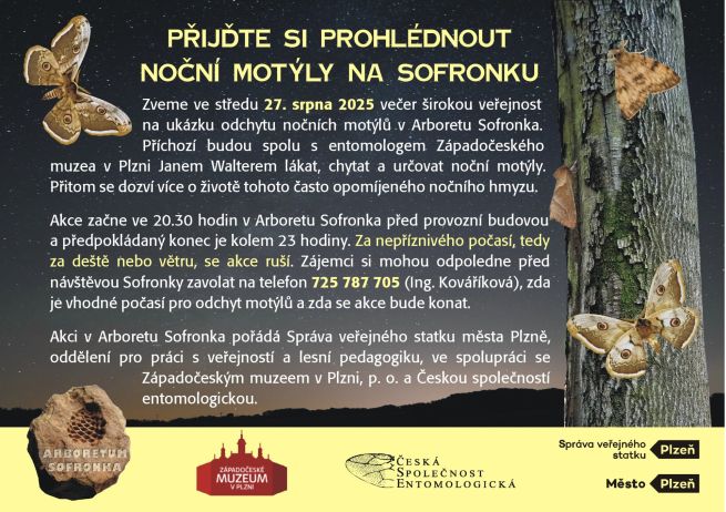 2025nocni motyli_B