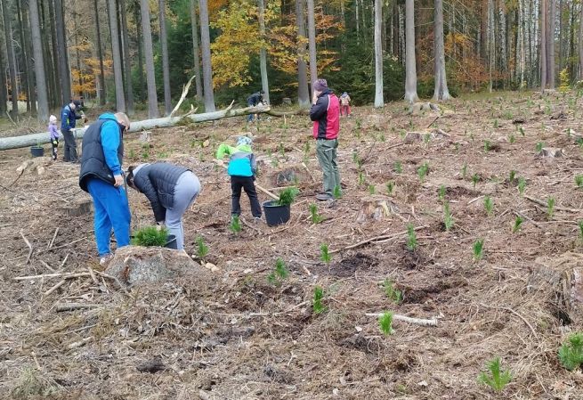 3_IMG_20241102_124807_fotoMilanSEKÁČ 3_IMG_20241102_124807_fotoMilanSEKÁČ