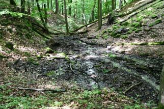 4_tůňky pod_DSC_6664_fotoRadkaŽÁKOVÁ