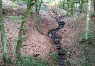 5_vodoteč_IMG_20250804_193133_foto MilanSEKÁČ