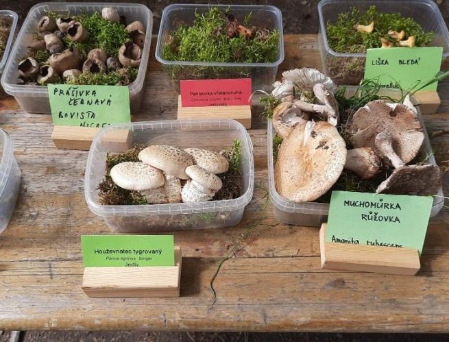 6_20250628_101049 6_20250628_101049