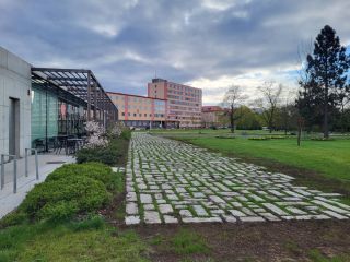 B1b_pohled_od_silnice_po_realizaci_vzchazejici_osivo_fotoMichaelaMENCLOVÁ