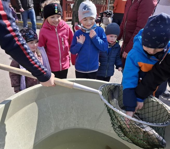 č.4 Sádky u Košináře y .jpg č.4 Sádky u Košináře y .jpg