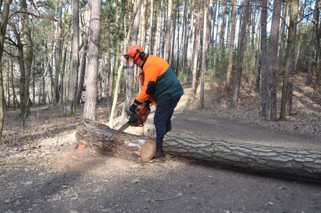 DSC_0925_fotoRadkaŽÁKOVÁ DSC_0925_fotoRadkaŽÁKOVÁ
