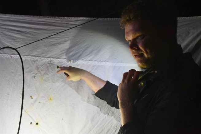 DSC_0951_fotoRadkaŽÁKOVÁ DSC_0951_fotoRadkaŽÁKOVÁ