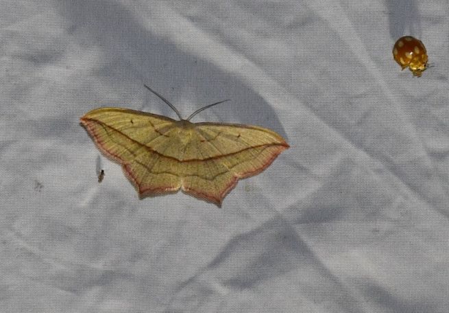 DSC_0970_fotoRadkaŽÁKOVÁ DSC_0970_fotoRadkaŽÁKOVÁ