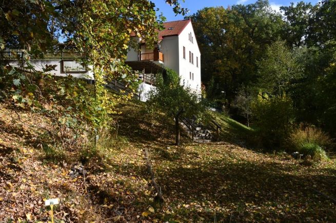 DSC_1614_fotoRadkaŽÁKOVÁ DSC_1614_fotoRadkaŽÁKOVÁ