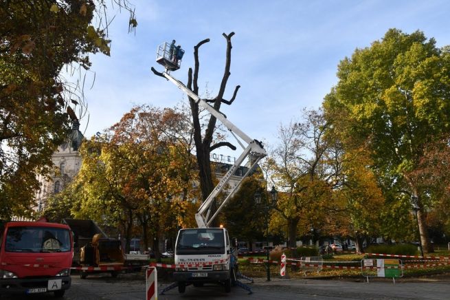 DSC_1809_fotoRadkaŽÁKOVÁ DSC_1809_fotoRadkaŽÁKOVÁ