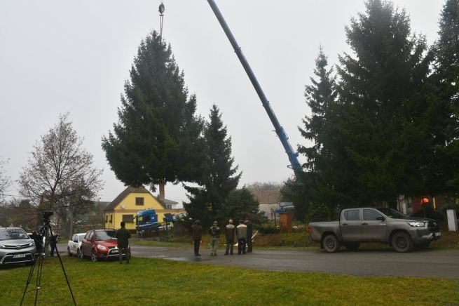 DSC_2185_fotoRadkaŽÁKOVÁ