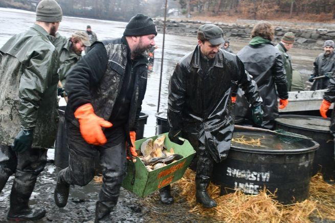 DSC_2452_fotoRadkaŽÁKOVÁ