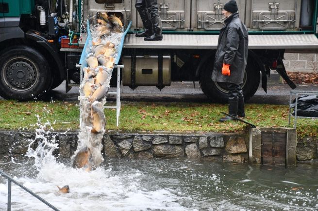 DSC_2470_fotoRadkaŽÁKOVÁ