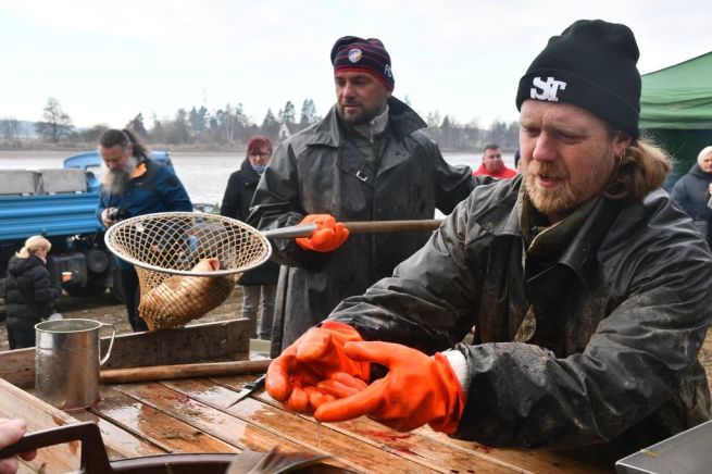 DSC_2688_fotoRadkaŽÁKOVÁ DSC_2688_fotoRadkaŽÁKOVÁ