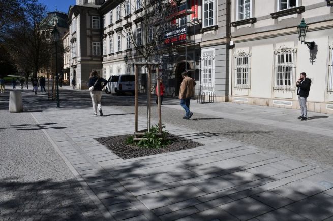 DSC_3230_Opraveno fotoRadkaŽÁKOVÁ DSC_3230_Opraveno fotoRadkaŽÁKOVÁ