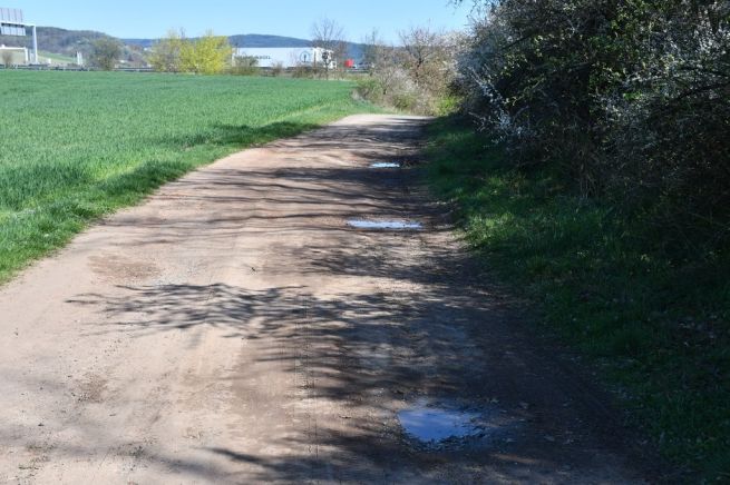 DSC_3642_fotoRadkaŽÁKOVÁ