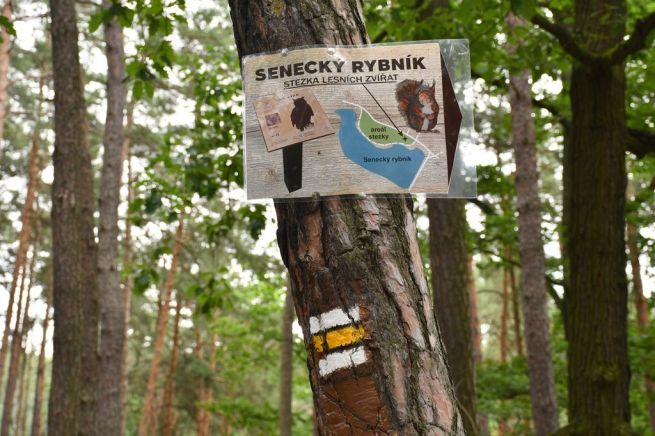 DSC_5051_fotoRadkaŽÁKOVÁ