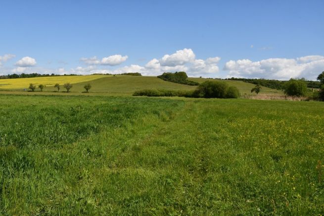 DSC_5306_foto Miroslav KLAS