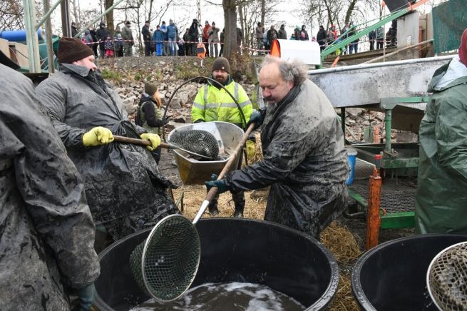DSC_5706_fotoRadkaŽÁKOVÁ_small DSC_5706_fotoRadkaŽÁKOVÁ_small