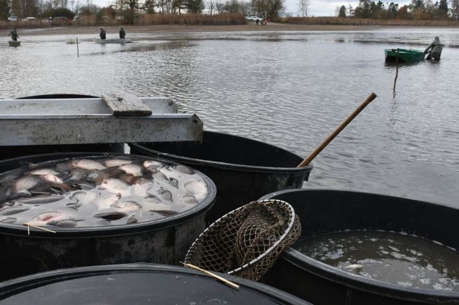 DSC_5711_fotoRadkaŽÁKOVÁ