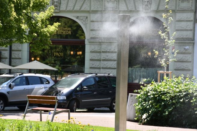 DSC_6893_fotoRadkaŽÁKOVÁ