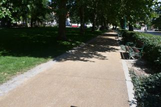 DSC_8567_fotoRadkaŽÁKOVÁ