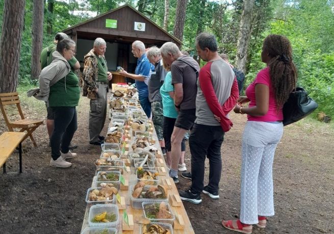 Fotky z výstavky 22.-23.6.24 na Sofronce (0) Fotky z výstavky 22.-23.6.24 na Sofronce (0)