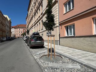 IMG_0868_fotoAndreaFOJTÍKOVÁ