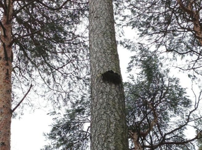 IMG_20260126_141702_495_fotoMarekBARTůNĚK