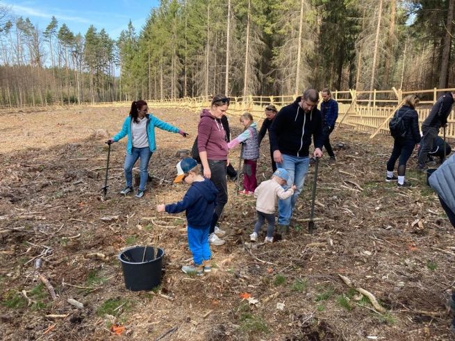 Sázení lesa01_fotoMartinaKOVARIKOVA Sázení lesa01_fotoMartinaKOVARIKOVA
