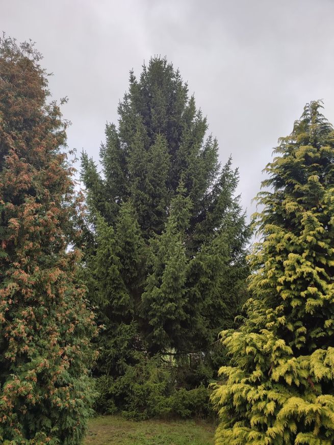 Z1_1759767749451_fotoAlešRUSŇÁK